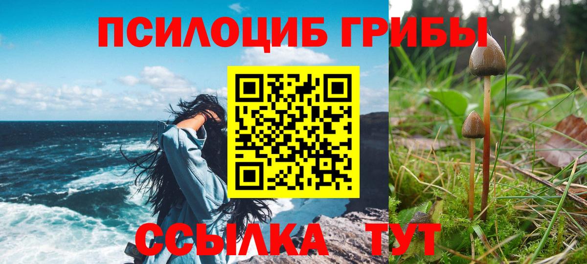 Псилоцибиновые грибы GOLDEN TEACHER  Галлюциногенные грибы GOLDEN TEACHER  Шарыпово  Вход с VPN 