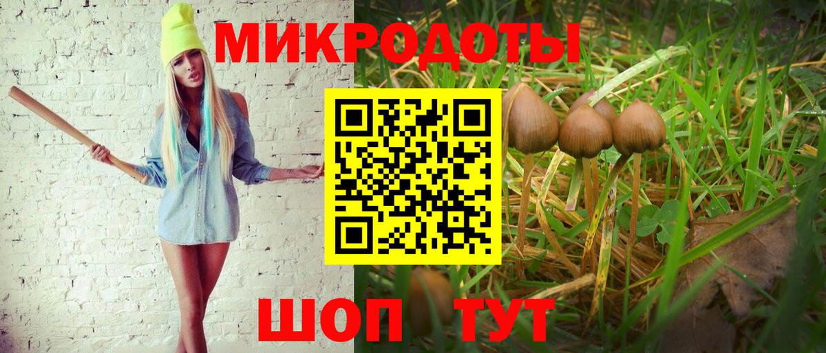 Псилоцибиновые грибы MAGIC MUSHROOMS Шарыпово